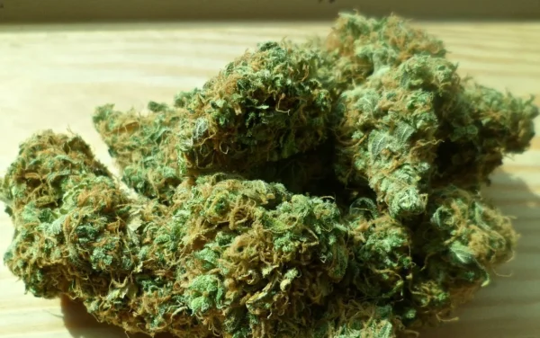 Premium Flower 2